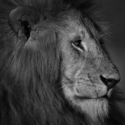 Brian - Senior Technician at MedCity Duct Cleaning