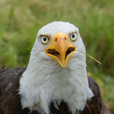 Chris - Lead Technician at MedCity Duct Cleaning