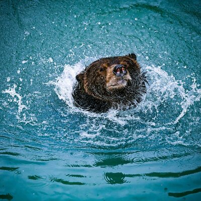 PJ - CEO of MedCity Duct Cleaning